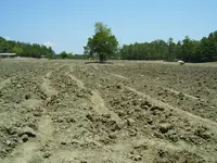 100_0671.webp