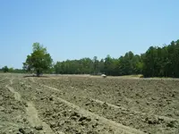 100_0674.webp