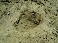100_0675.webp