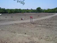 100_0678.webp