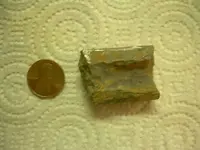 DSCN1390.webp