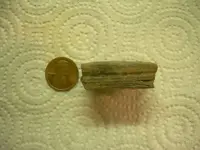DSCN1391.webp