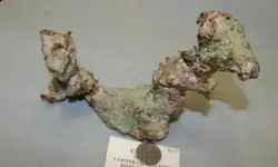 coppertucson.webp