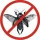 no bugs.webp
