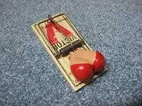 booby trap.webp