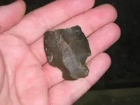 arrowhead1.webp