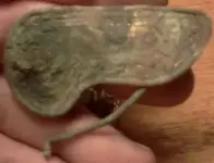old gold guilded broach.webp