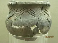 pot ii.webp