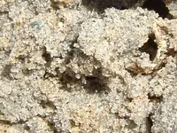 DSCF0390.webp