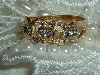 DSCF0394.webp