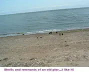 DSCF0436.webp