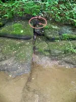 creek_pic6.webp