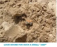DSCF0447.webp