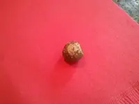 2011-07-04 11.04.40 small.webp