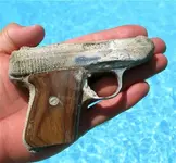 gun.webp