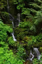 IMG_2091_edited-1.webp