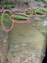 creek_pic5.webp