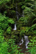 IMG_2096_edited-1.webp