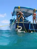First Dive 027 (1).webp