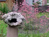 geode & coral bells.webp