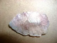 DSC07290.webp