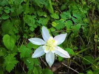 DSC01326.webp