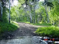DSC01067.webp