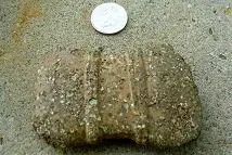 NY stone4.webp