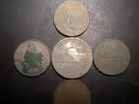 DSCN0731.webp