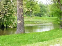 water hunt anyone.webp