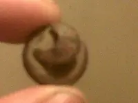 IMG00230-20110725-0005.webp