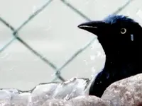 Bath time.webp
