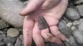Harding in situ - small 2.webp