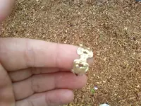 gold ring 6.webp
