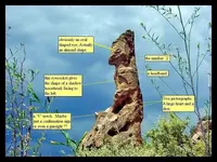pillar-desertmoons Merged Merged.webp