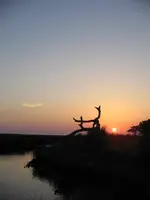 017z.webp
