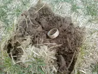 silver ring 1.webp