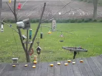 DSCN0715.webp