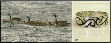 ducks ring.webp