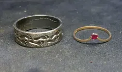 0206rings.webp