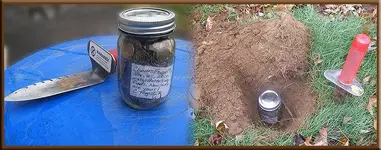 buried treasure (2).webp