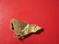 cornell and star button 001.webp