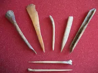 Awls13.webp