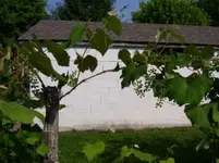 100_0627.webp