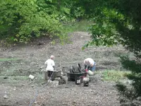 60269_433606215851_290413110851_5341443_4293351_n.webp