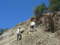 nodule2.webp