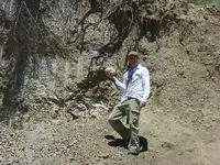Nodule1.webp