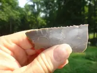 serrated knife2.webp