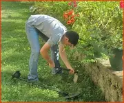 I need a bigger shovel !.webp