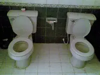 dos toiles.webp